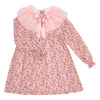 Wonderland Dress