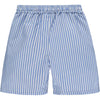 Blue Haven Swim Shorts